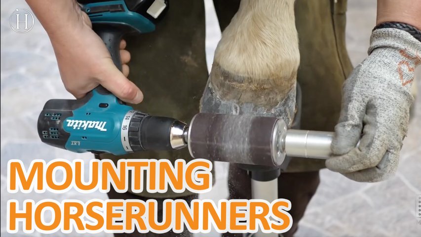 Mounting Horserunners | Humanity Life