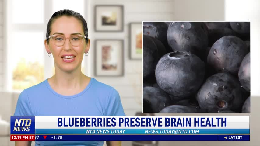 Blueberries Preserve Brain Health