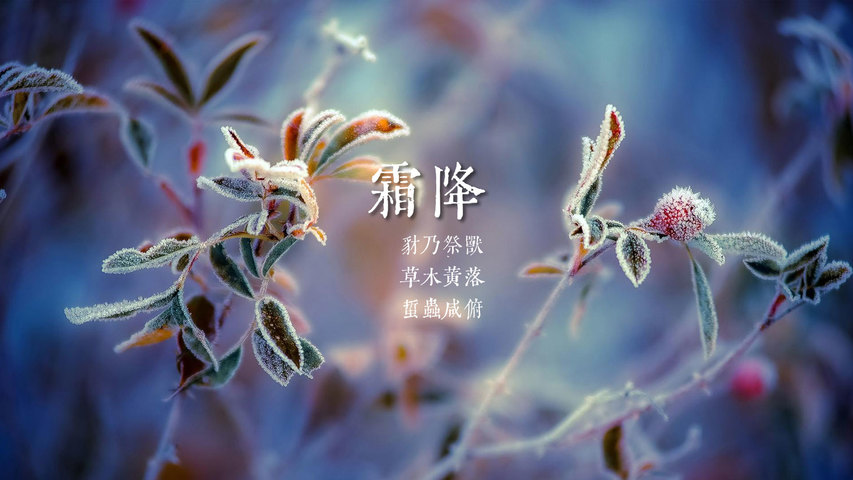中華傳統文化：二十四節氣之霜降那些你一定要知道的小知識：無霜期是指什麼時候？秋霜形成的條件？霜降節為何要吃柿子？凌霜侯是誰？
