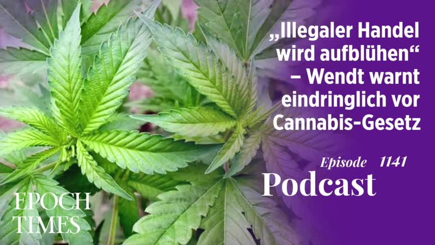 Podcast Nr. 1141 „Illegaler Handel wird aufblühen“ – Wendt warnt eindringlich vor Cannabis-Gesetz