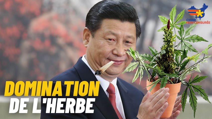[VF] La Chine veut conquérir l'industrie américaine du cannabis