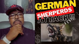 DOGUMENTARY TV REACTION: GERMAN SHEPHERD DOGS ATTACK