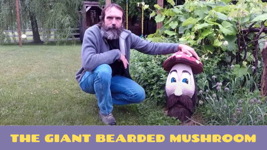 The Giant Bearded Mushroom