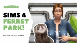 Using Sims 4 to design a backyard FERRET PARK | The Modern Ferret