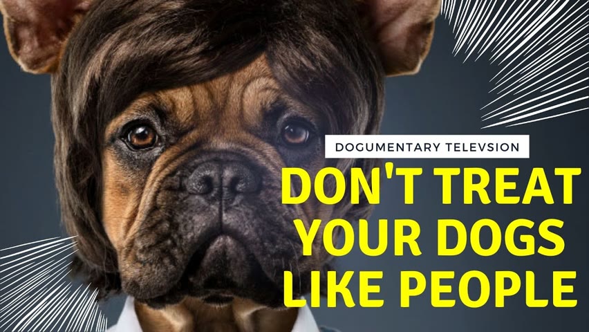 5 WAYS TREATING YOUR DOG LIKE A HUMAN CAN BACKFIRE