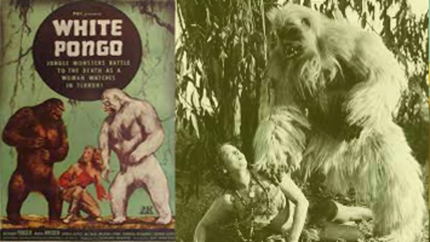 White Pongo  1945  Sam Newfield  Richard Fraser  Adventure  Full Movie