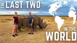 Last 2 Northern White Rhinos ON THE PLANET 🌍/ How we are going to SAVE the specie