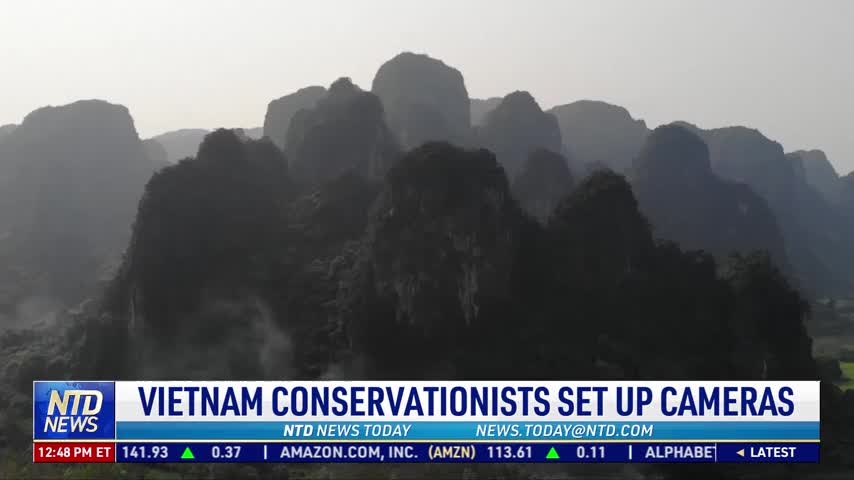 Vietnam Conservationists Set up Cameras