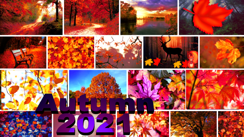 Autumn 2021 is beautiful
