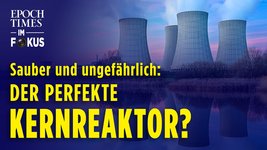 Dual Fluid Reaktor: Dieser Kernreaktor ist ungefährlich und grün – CO2-Problem gelöst? | ET im Fokus (ReUpload von 2019)