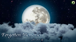 Forgotten Memories A Soft and Flowing Piece of Reminiscence  Musical Moments