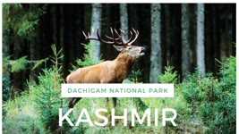Dachigam National Park -  Best Places to visit in Jammu & Kashmir