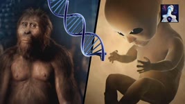 Aliens Genetically Created Us: Overwhelming Evidence