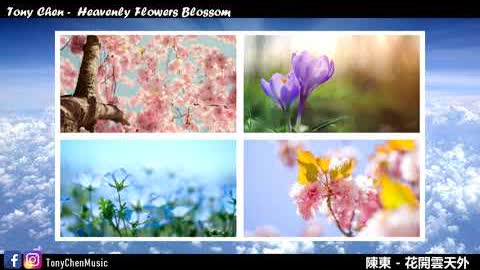 Tony Chen - Heavenly Flowers Blossom