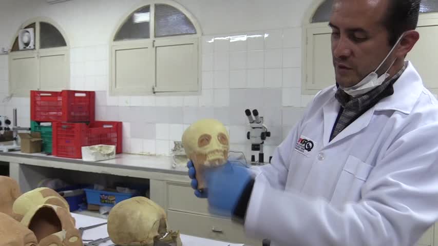 Los cráneos de tiahuanacotas tienen rostro 3.000 años después