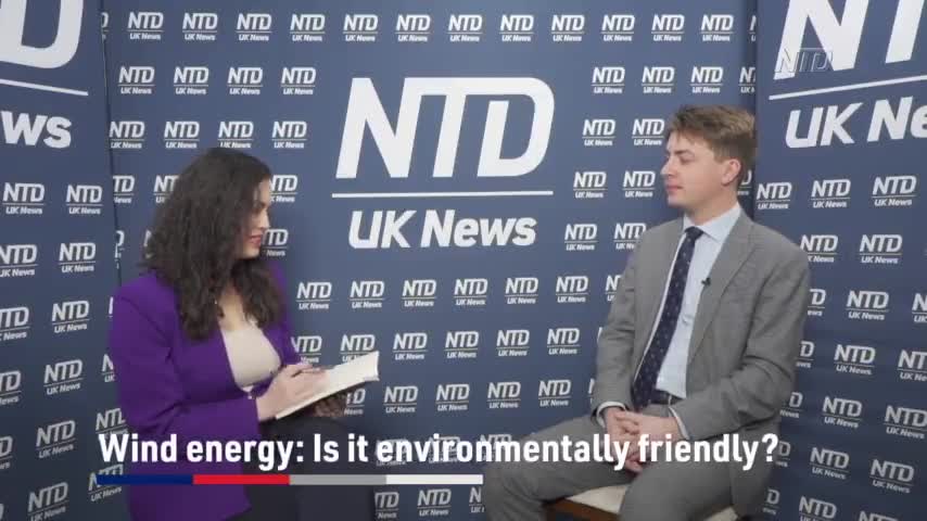 Wind Energy: Is It Environmentally Friendly?