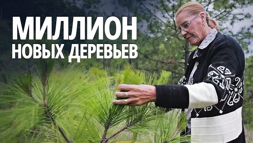 70-летняя женщина взяла лопату и начала спасать леса