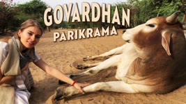 ( 23 km ) Walk Barefoot 🌿🐒🐐🦜🦚🐮🐾🐑 Govardhan Parikrama