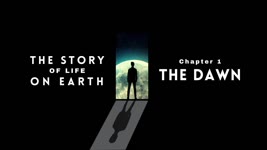 Origins of Life on Earth 4K | The Dawn
