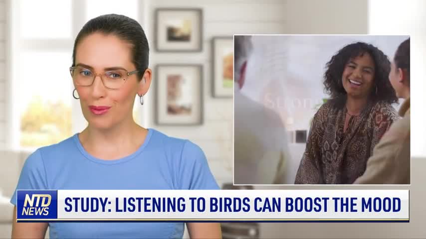 Study: Listening to Birds Can Boost the Mind