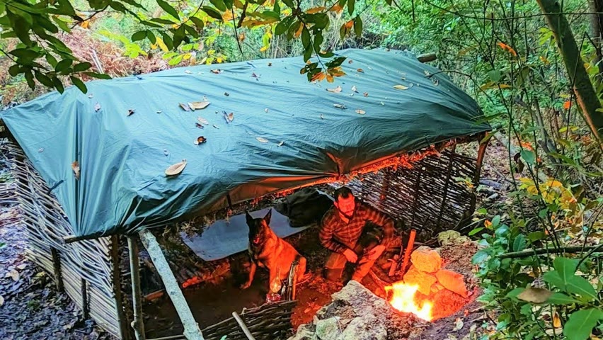 Bushcraft Shelter Camping - Campfire Cooking, Off Grid Living, Survival Skills, Wilderness, DIY