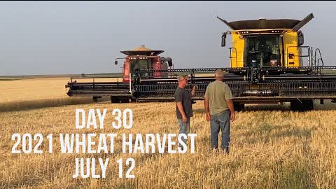 Day 30 - 2021 Wheat Harvest / July 12 (near New Raymer, CO)
