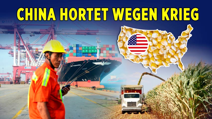 Auswirkung der Ukraine-Krise: China kauft große Mengen Mais von den USA