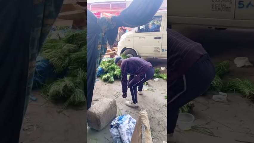 新疆喀什噶爾，當局勒令蔬菜批發市場的蔬菜倒進垃圾桶；另一邊無數個維吾爾人防疫為名被困在家裡，沒有物資。中共政府寧願把這些食物倒掉，也不發給挨餓中的民眾。| #大紀元新聞網