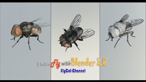 Create a  Fly in Blender