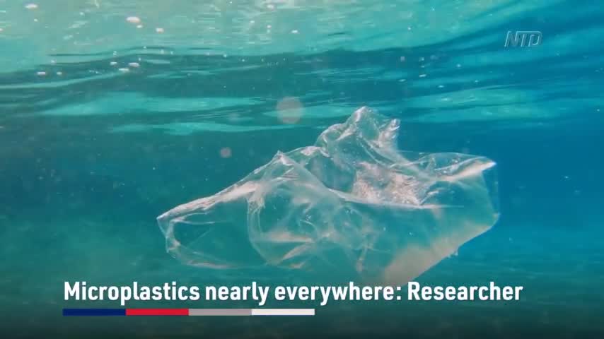 Microplastic Pollution Found Nearly Everywhere: Researcher