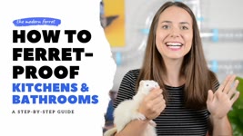 How to FERRET PROOF Your Kitchen and Bathroom | Ferret Care