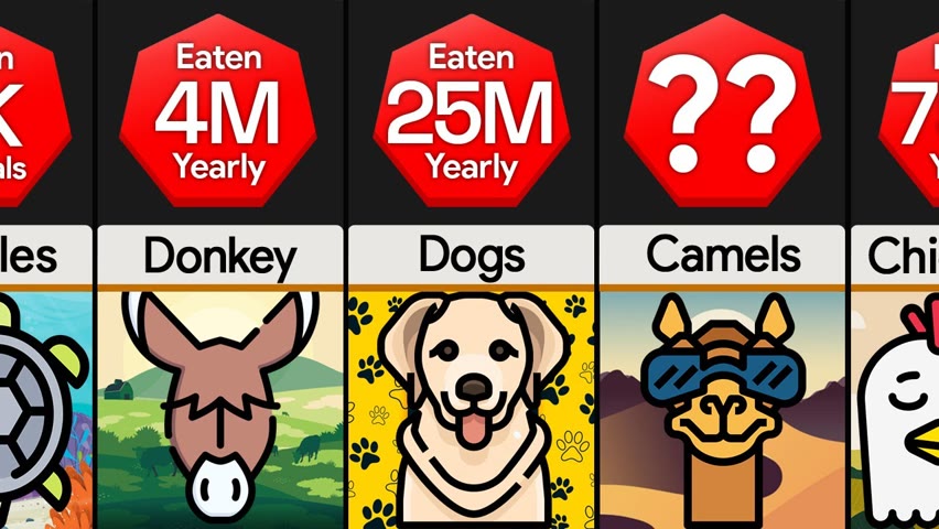 Comparison: How Many Animals Do We Eat Each Year