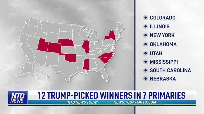 12 Trump-Picked Winners in 7 Primaries