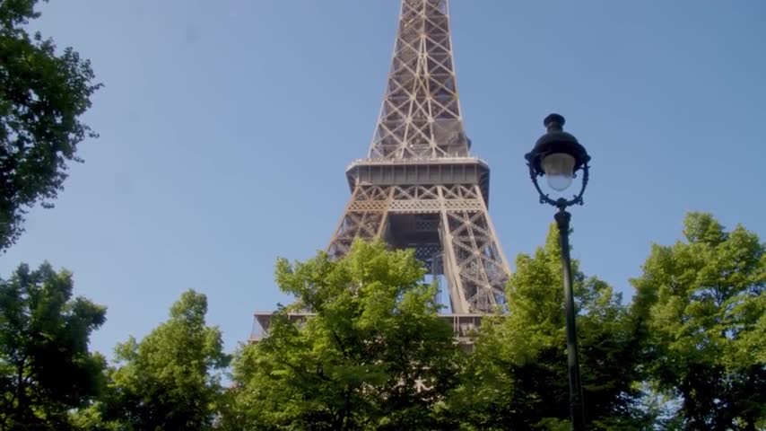 Eiffel Towers Trees Saved From Felling