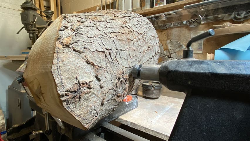 Woodturning - Live edge spalted maple 🍁 log