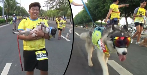 Hundreds of Dogs and Owners Take Part in a Fun Run in Manila