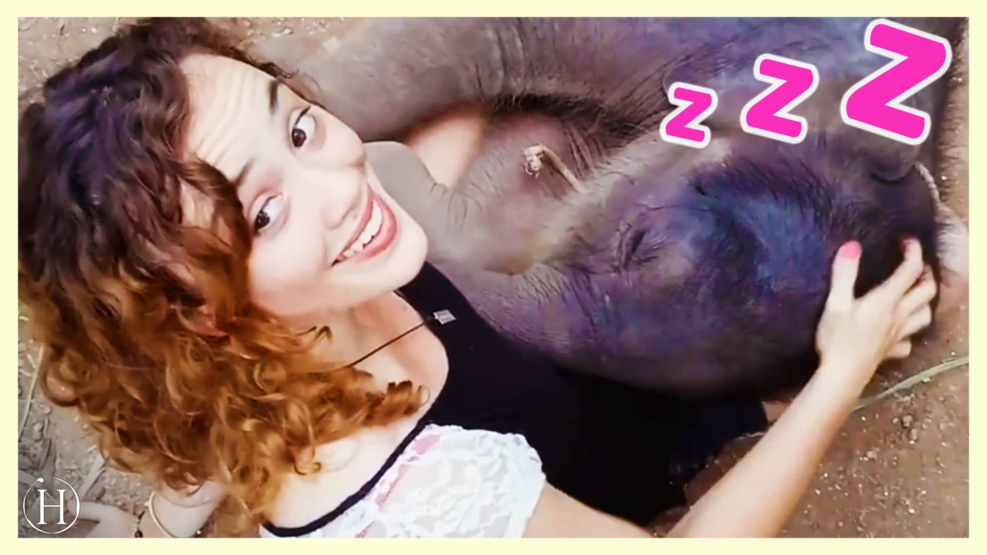 Sleeping Baby Elephant | Humanity Life