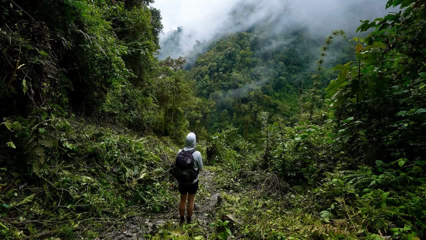 Solo Hiking 40 Miles in Los Nevados Colombia