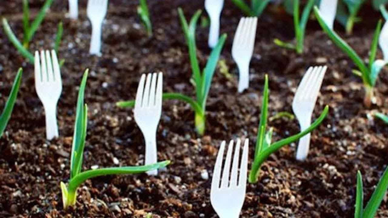 Stop Throwing Away Those Plastic Utensils. There are 5 Reasons Why You Should Plant Them Instead.