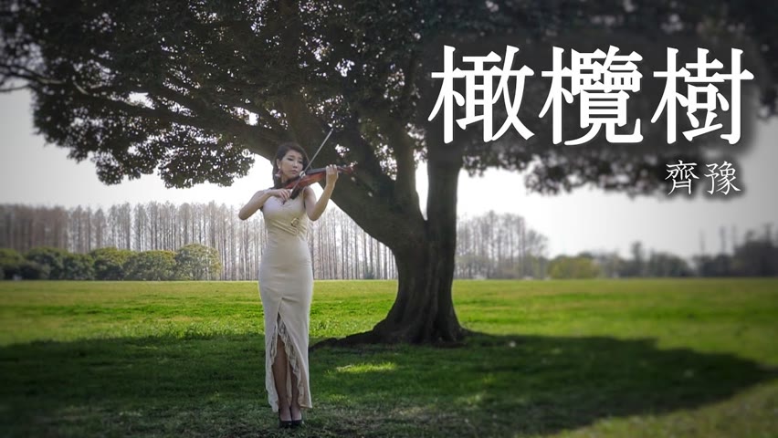 橄欖樹 - 齊豫 小提琴(Violin Cover by Momo)