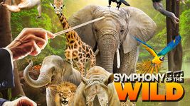 SymphonyWild-Trailer-58s