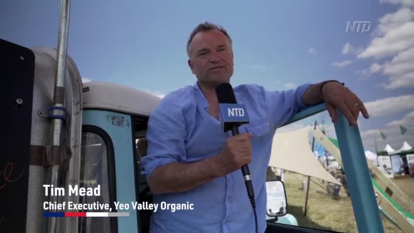 Yeo Valley Organic: From Small to Well-Known