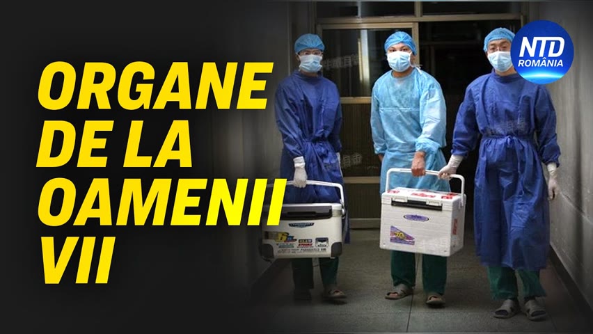 Studiu: Chirurgii chinezi au prelevat organe de la oameni vii, omorându-și victimele | NTD România