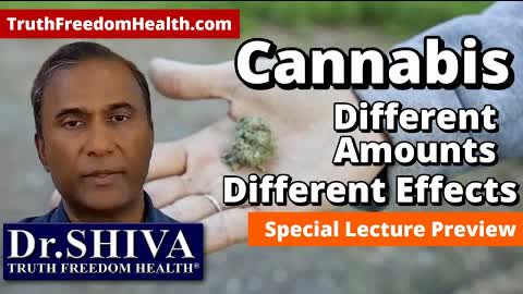 Dr.SHIVA: Cannabis - Different Amounts, Different Effects - Special Lecture Preview