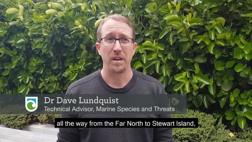 DOC Technical Advisor Dr. Dave Lundquist discusses whale strandings in New Zealand
