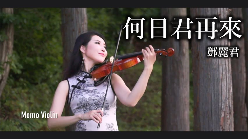 何日君再來 -  鄧麗君（テレサ・テン） 小提琴(Violin Cover by Momo)