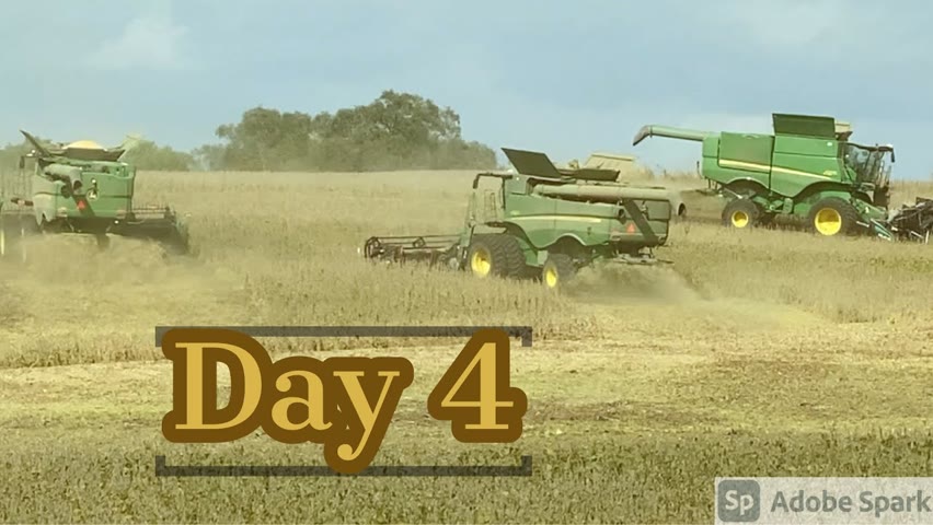 Day 4 / 2021 Fall Harvest - October 7