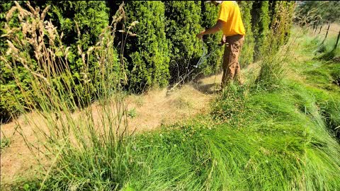 Mowing My Grandpa's Overgrown Lawn For FREE | Satisfying Yard Transformation