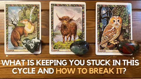 What is keeping you stuck in this cycle and how to break it?  ✨🔮✨ | Pick a card