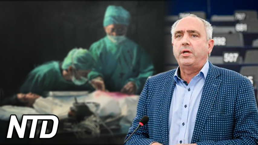EU-politiker pressar handelsblocket om organskörd | NTD NYHETER